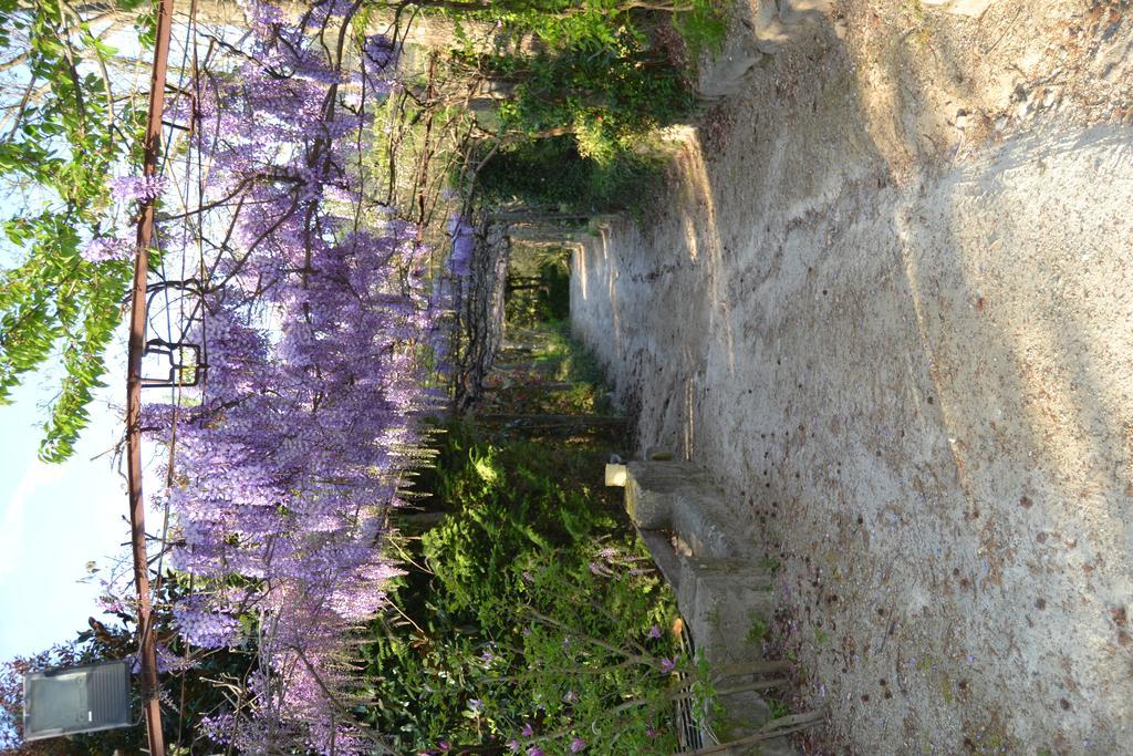 フェルゲイラス Quinta Do Mosteiroヴィラ エクステリア 写真